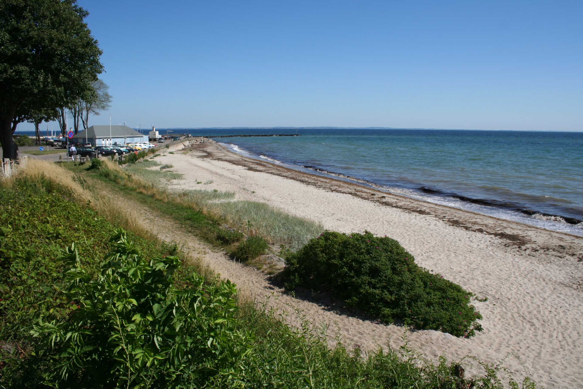 Strandsafari på Mommark Strand – Blå Flag